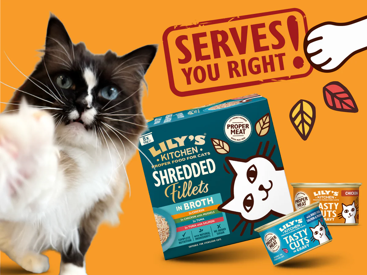 Gourmet Meals for Furry Family